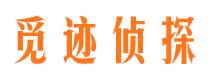 咸丰捉小三公司